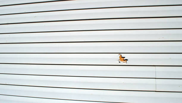 Best Fascia and Soffit Installation  in Angels, CA